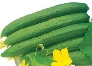 夏季吃哪三瓜,三瓜养生攻略