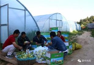 吃瓜群众南阳邓州,吃瓜群众眼中的地方风情