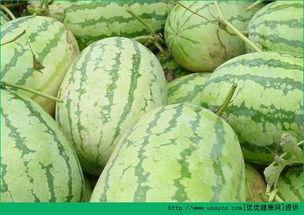 早上吃瓜中午吃瓜可以吗,健康饮食新主张