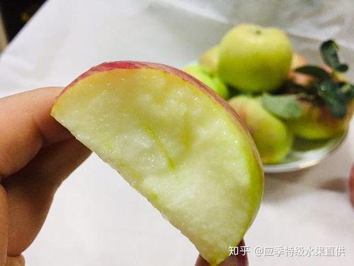 吃桃可以吃脆瓜吗,探索吃桃后品尝脆瓜的奇妙体验