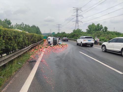 热心吃瓜群众铁力,揭秘娱乐圈那些事儿