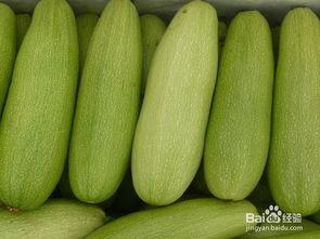 青筋白瓜怎么吃,解锁健康美味新体验