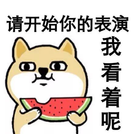 吃瓜团伙头像,揭秘吃瓜团伙的趣味头像世界