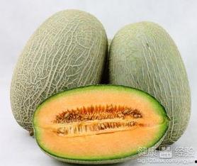 荷宝吃哈密瓜,甜蜜时光的美好回忆