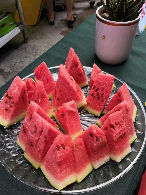 职业比赛吃瓜,揭秘职业比赛中的“吃瓜”现象