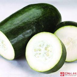 女孩夏日吃瓜头像,瓜果飘香——女孩吃瓜头像下的夏日风情